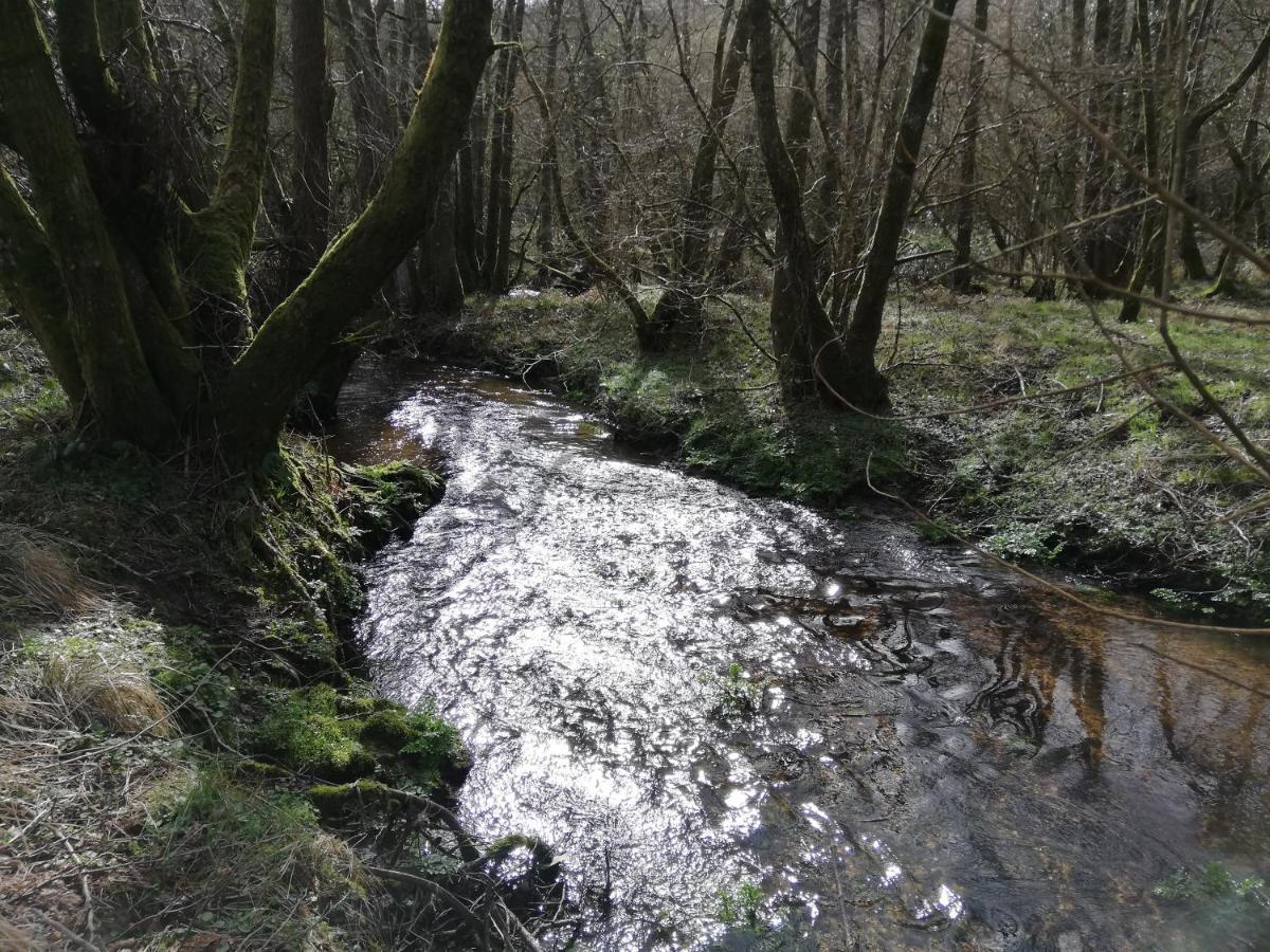 Wray Valley Moretonhampstead Extérieur photo